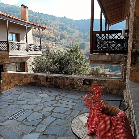 Vasiliki Steni Dhirfios